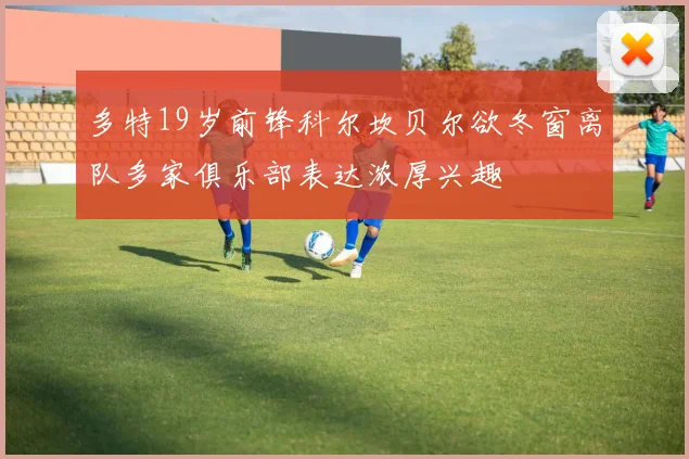 多特19岁前锋科尔坎贝尔欲冬窗离队多家俱乐部表达浓厚兴趣