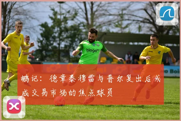 鹕记：德章泰穆雷与普尔复出后或成交易市场的焦点球员