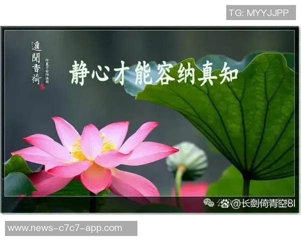 太阳赛季前瞻:期待不如放下包袱或许能迎来意外惊喜 太阳赛季前瞻:期待不如放下包袱或许能迎来意外惊喜